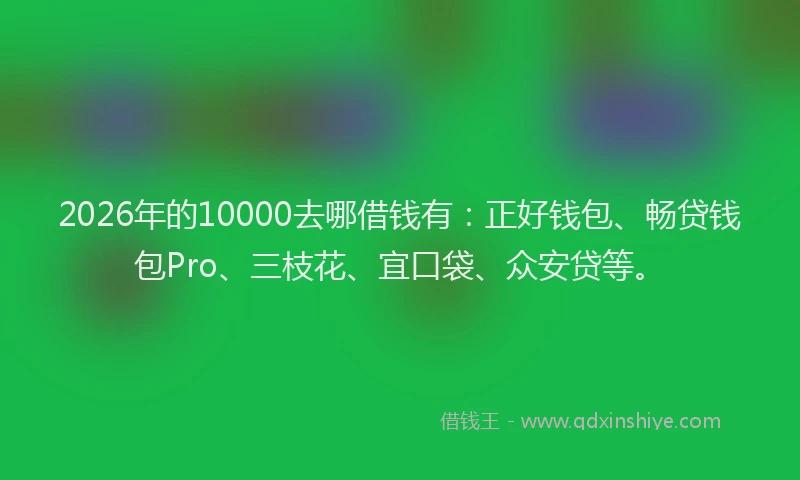2026年的10000去哪借钱有：正好钱包、畅贷钱包Pro、三枝花、宜口袋、众安贷等。