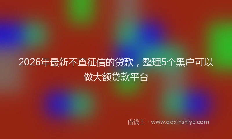 2026年最新不查征信的贷款，整理5个黑户可以做大额贷款平台