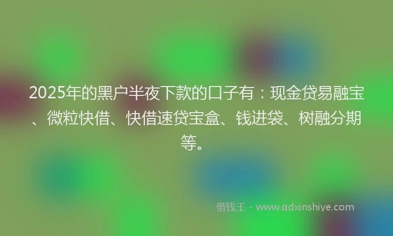 2025年的黑户半夜下款的口子有:现金贷易融宝、微粒快借、快借速贷宝盒、钱进袋、树融分期等。