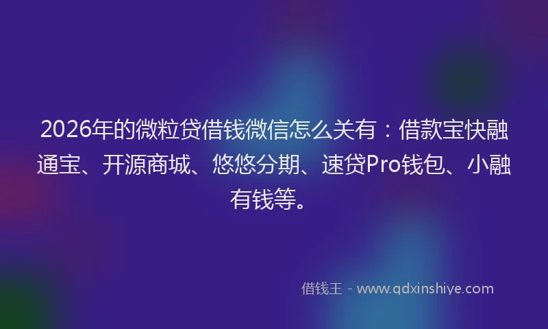 2026年的微粒贷借钱微信怎么关有：借款宝快融通宝、开源商城、悠悠分期、速贷Pro钱包、小融有钱等。