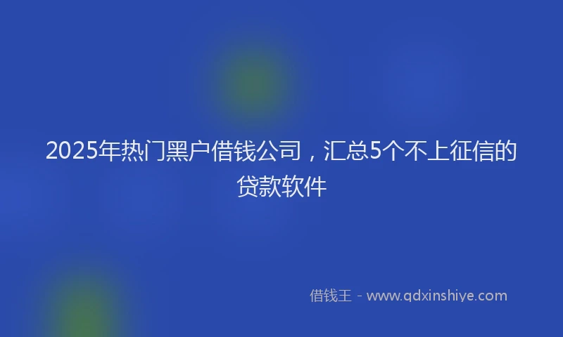 2025年热门黑户借钱公司，汇总5个不上征信的贷款软件