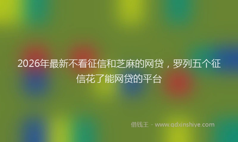 2026年最新不看征信和芝麻的网贷，罗列五个征信花了能网贷的平台