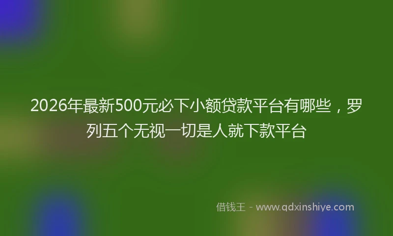 2026年最新500元必下小额贷款平台有哪些,罗列五个无视一切是人就下款平台