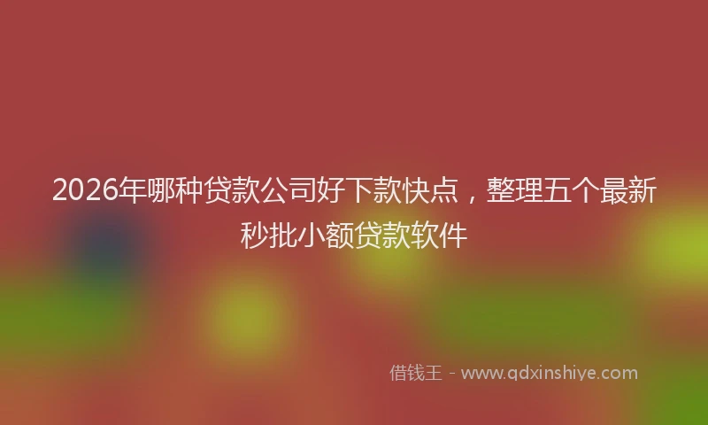 2026年哪种贷款公司好下款快点,整理五个最新秒批小额贷款软件