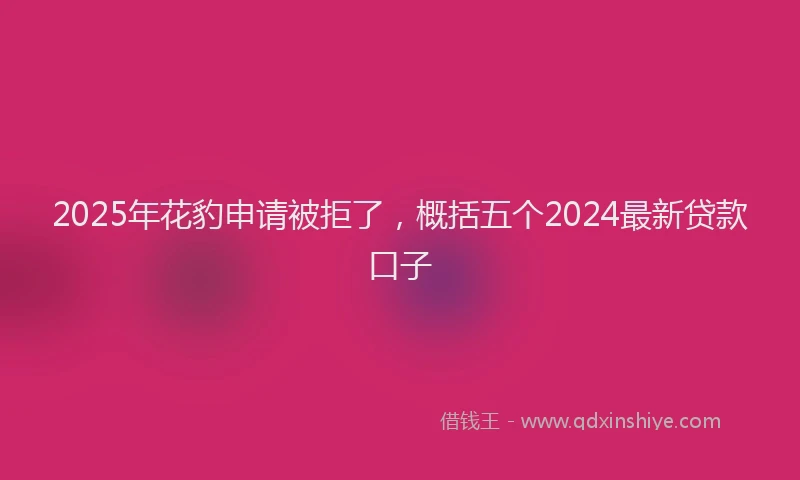 2025年花豹申请被拒了，概括五个2024最新贷款口子