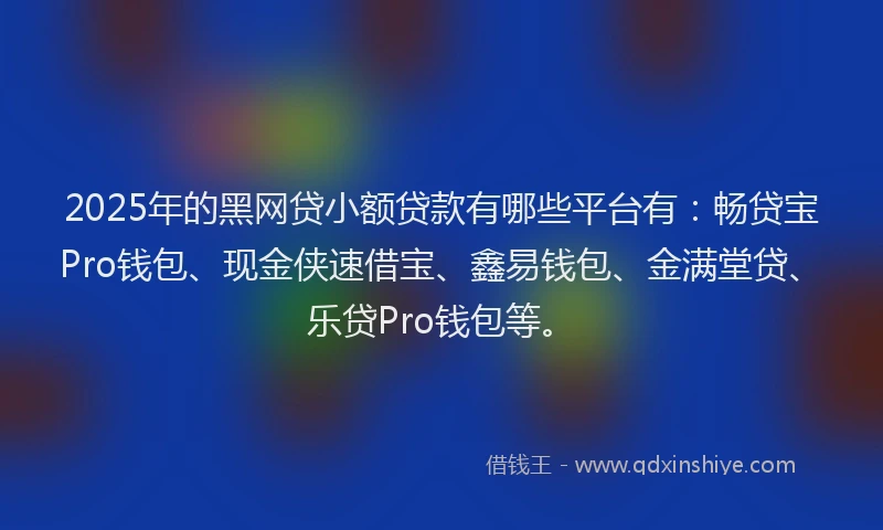 2025年的黑网贷小额贷款有哪些平台有：畅贷宝Pro钱包、现金侠速借宝、鑫易钱包、金满堂贷、乐贷Pro钱包等。