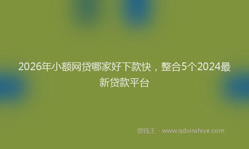 2026年小额网贷哪家好下款快，整合5个2024最新贷款平台