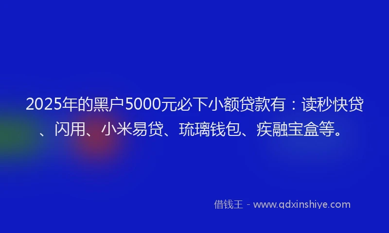 2025年的黑户5000元必下小额贷款有：读秒快贷、闪用、小米易贷、琉璃钱包、疾融宝盒等。