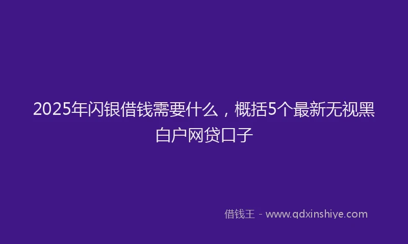 2025年闪银借钱需要什么，概括5个最新无视黑白户网贷口子