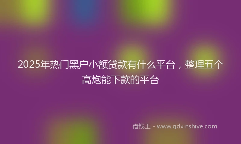 2025年热门黑户小额贷款有什么平台，整理五个高炮能下款的平台