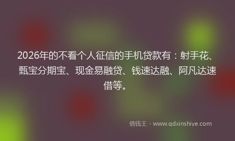 2026年的不看个人征信的手机贷款有：射手花、甄宝分期宝、现金易融贷、钱速达融、阿凡达速借等。