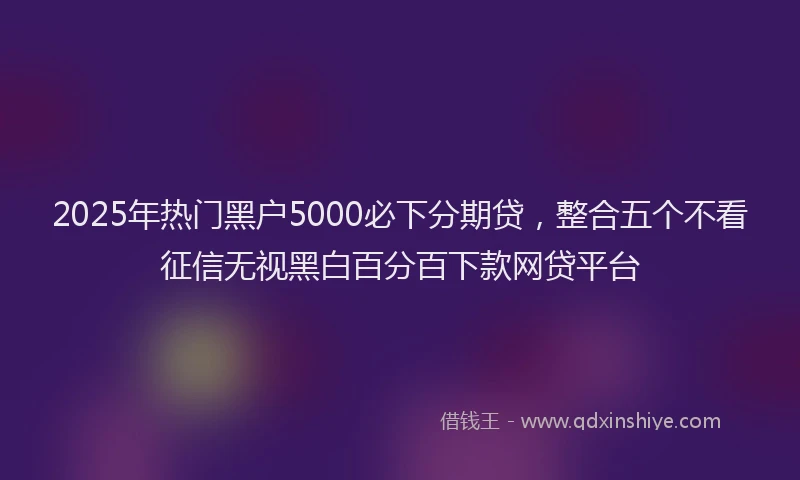 2025年热门黑户5000必下分期贷,整合五个不看征信无视黑白百分百下款网贷平台
