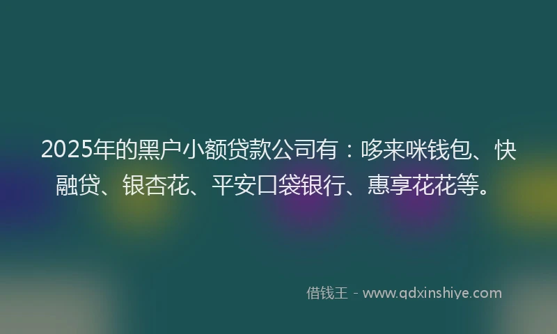2025年的黑户小额贷款公司有:哆来咪钱包、快融贷、银杏花、平安口袋银行、惠享花花等。