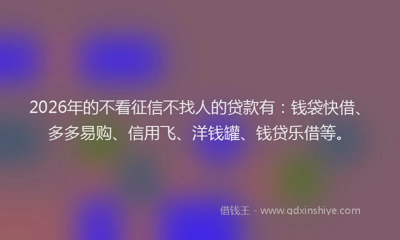 2026年的不看征信不找人的贷款有:钱袋快借、多多易购、信用飞、洋钱罐、钱贷乐借等。