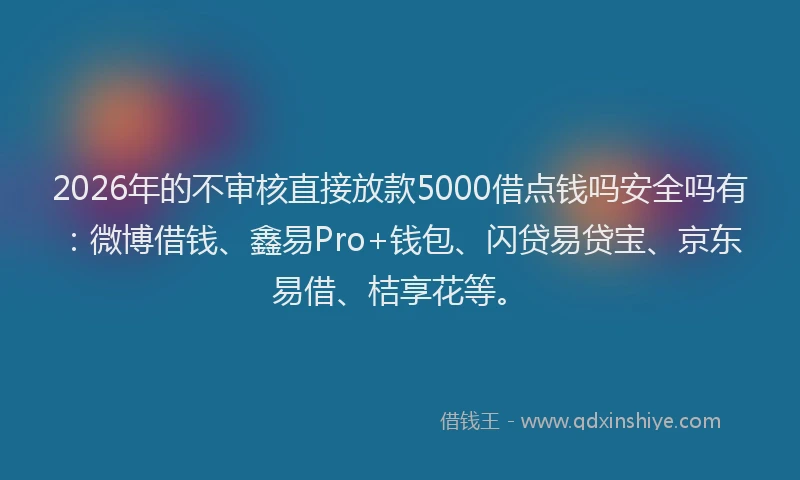 2026年的不审核直接放款5000借点钱吗安全吗有:微博借钱、鑫易Pro+钱包、闪贷易贷宝、京东易借、桔享花等。