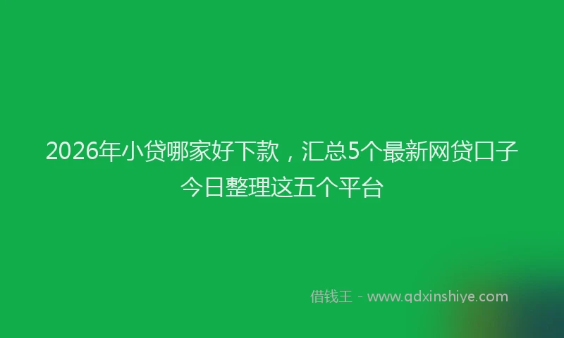 2026年小贷哪家好下款，汇总5个最新网贷口子今日整理这五个平台