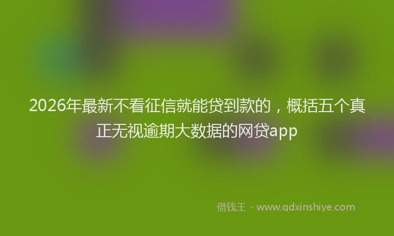 2026年最新不看征信就能贷到款的,概括五个真正无视逾期大数据的网贷app