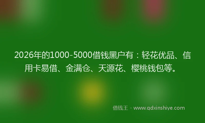 2026年的1000-5000借钱黑户有：轻花优品、信用卡易借、金满仓、天源花、樱桃钱包等。