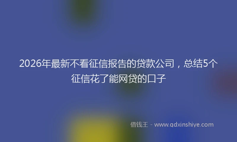 2026年最新不看征信报告的贷款公司，总结5个征信花了能网贷的口子