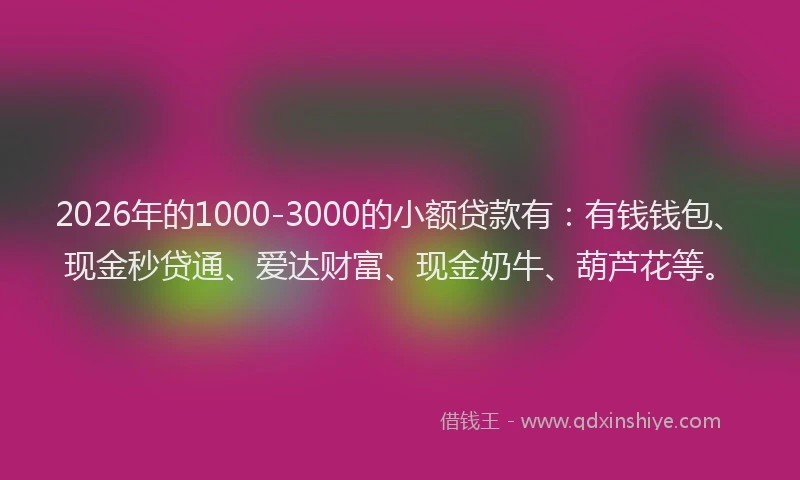 2026年的1000-3000的小额贷款有：有钱钱包、现金秒贷通、爱达财富、现金奶牛、葫芦花等。