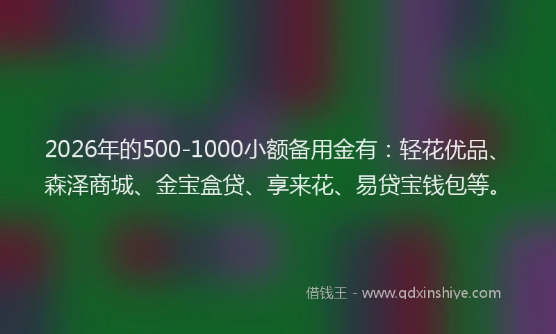 2026年的500-1000小额备用金有：轻花优品、森泽商城、金宝盒贷、享来花、易贷宝钱包等。