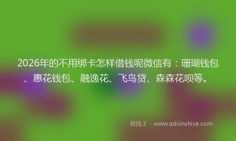 2026年的不用绑卡怎样借钱呢微信有：珊瑚钱包、惠花钱包、融逸花、飞鸟贷、森森花呗等。