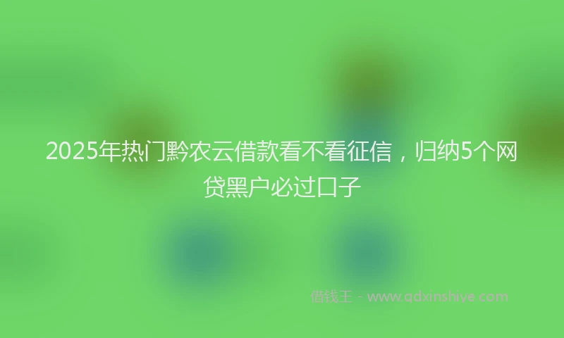 2025年热门黔农云借款看不看征信，归纳5个网贷黑户必过口子