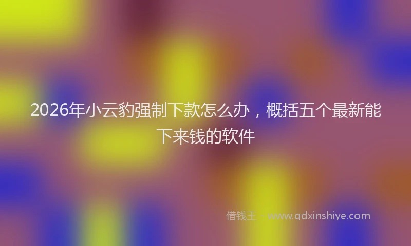 2026年小云豹强制下款怎么办，概括五个最新能下来钱的软件