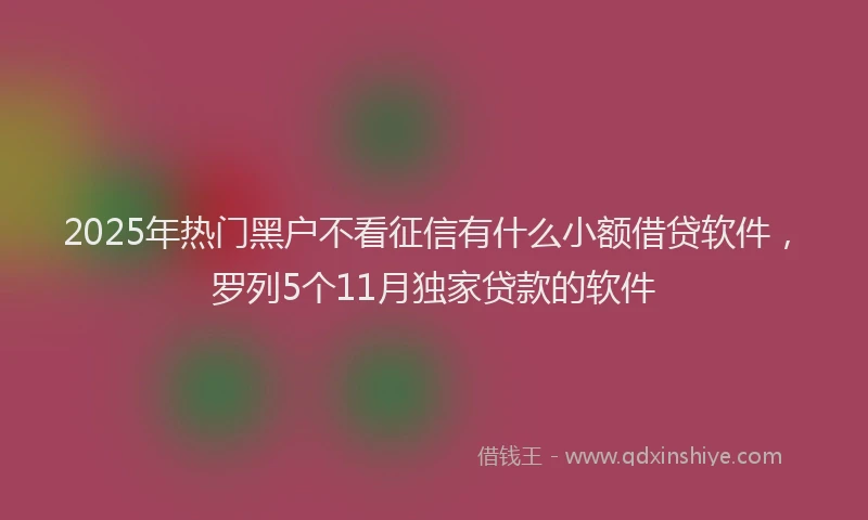 2025年热门黑户不看征信有什么小额借贷软件，罗列5个11月独家贷款的软件