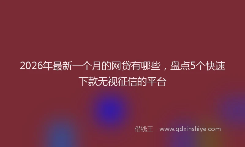 2026年最新一个月的网贷有哪些，盘点5个快速下款无视征信的平台