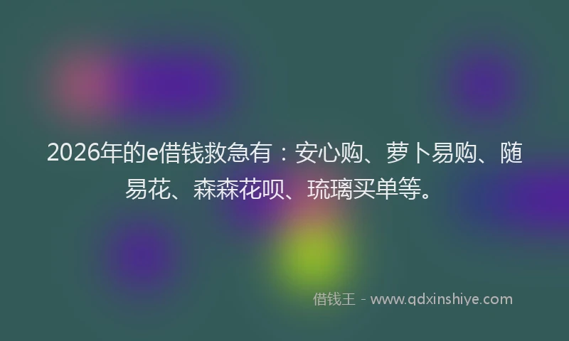 2026年的e借钱救急有:安心购、萝卜易购、随易花、森森花呗、琉璃买单等。