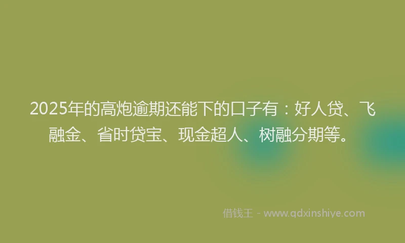 2025年的高炮逾期还能下的口子有:好人贷、飞融金、省时贷宝、现金超人、树融分期等。