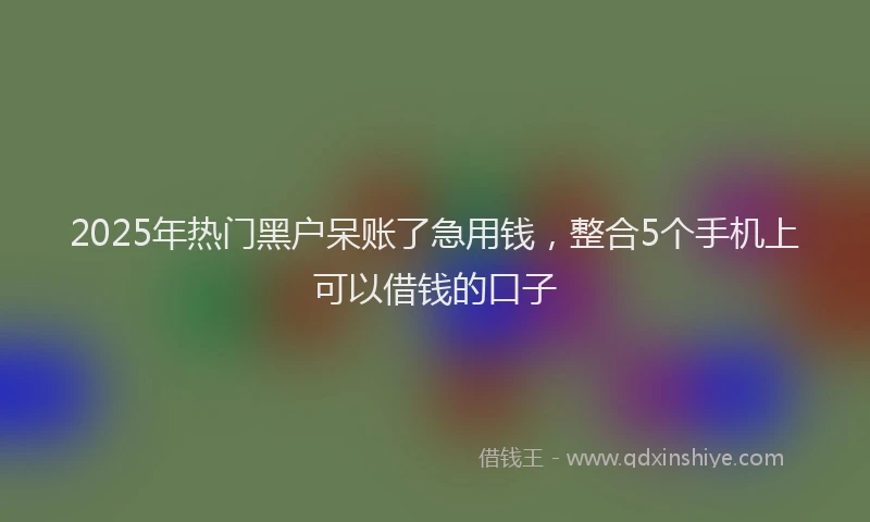 2025年热门黑户呆账了急用钱，整合5个手机上可以借钱的口子