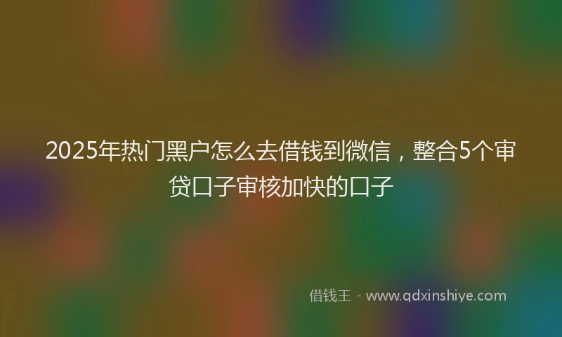 2025年热门黑户怎么去借钱到微信,整合5个审贷口子审核加快的口子