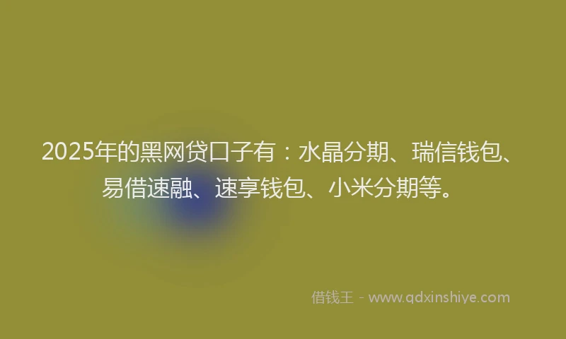 2025年的黑网贷口子有：水晶分期、瑞信钱包、易借速融、速享钱包、小米分期等。
