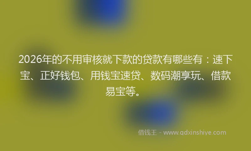 2026年的不用审核就下款的贷款有哪些有：速下宝、正好钱包、用钱宝速贷、数码潮享玩、借款易宝等。