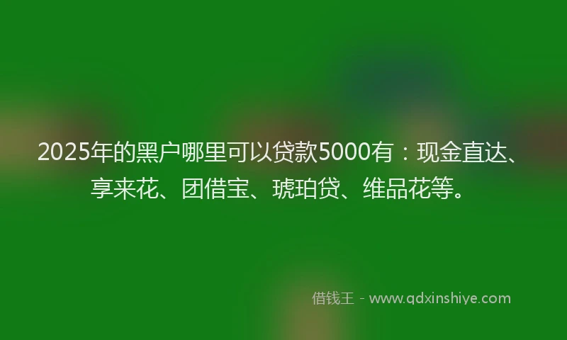 2025年的黑户哪里可以贷款5000有:现金直达、享来花、团借宝、琥珀贷、维品花等。