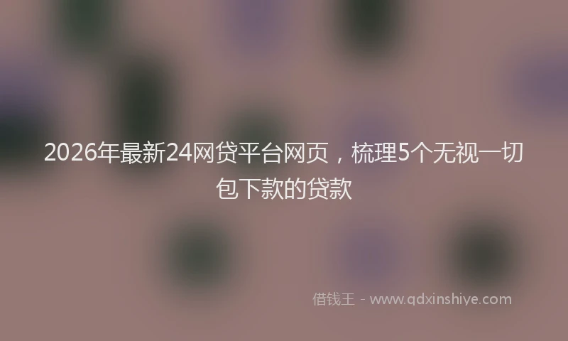 2026年最新24网贷平台网页，梳理5个无视一切包下款的贷款