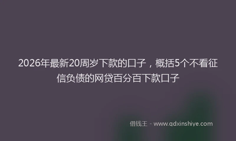2026年最新20周岁下款的口子,概括5个不看征信负债的网贷百分百下款口子
