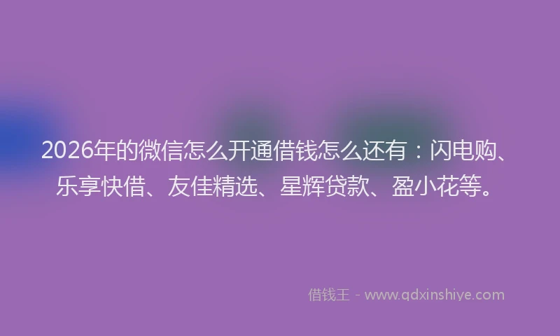 2026年的微信怎么开通借钱怎么还有：闪电购、乐享快借、友佳精选、星辉贷款、盈小花等。