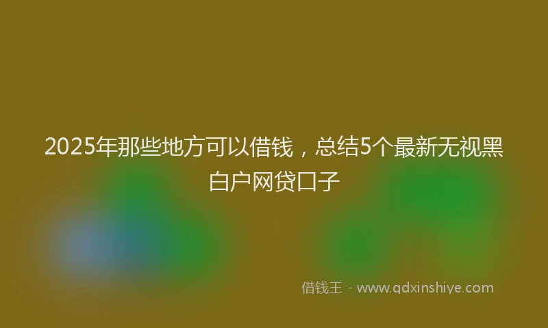 2025年那些地方可以借钱，总结5个最新无视黑白户网贷口子