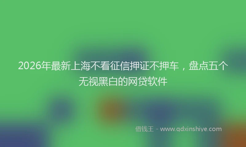 2026年最新上海不看征信押证不押车，盘点五个无视黑白的网贷软件