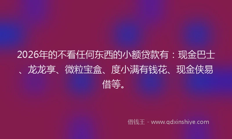 2026年的不看任何东西的小额贷款有：现金巴士、龙龙享、微粒宝盒、度小满有钱花、现金侠易借等。