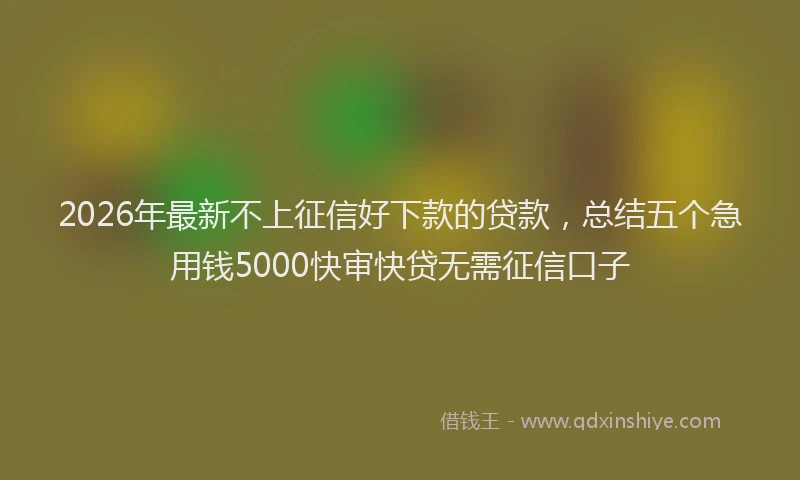 2026年最新不上征信好下款的贷款，总结五个急用钱5000快审快贷无需征信口子