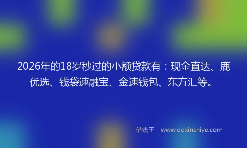 2026年的18岁秒过的小额贷款有：现金直达、鹿优选、钱袋速融宝、金速钱包、东方汇等。