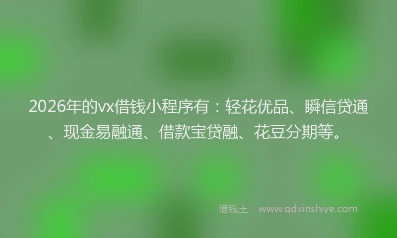 2026年的vx借钱小程序有：轻花优品、瞬信贷通、现金易融通、借款宝贷融、花豆分期等。