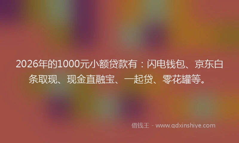 2026年的1000元小额贷款有：闪电钱包、京东白条取现、现金直融宝、一起贷、零花罐等。