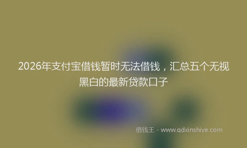 2026年支付宝借钱暂时无法借钱，汇总五个无视黑白的最新贷款口子