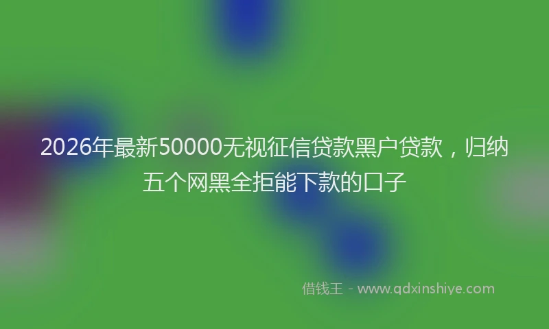 2026年最新50000无视征信贷款黑户贷款，归纳五个网黑全拒能下款的口子