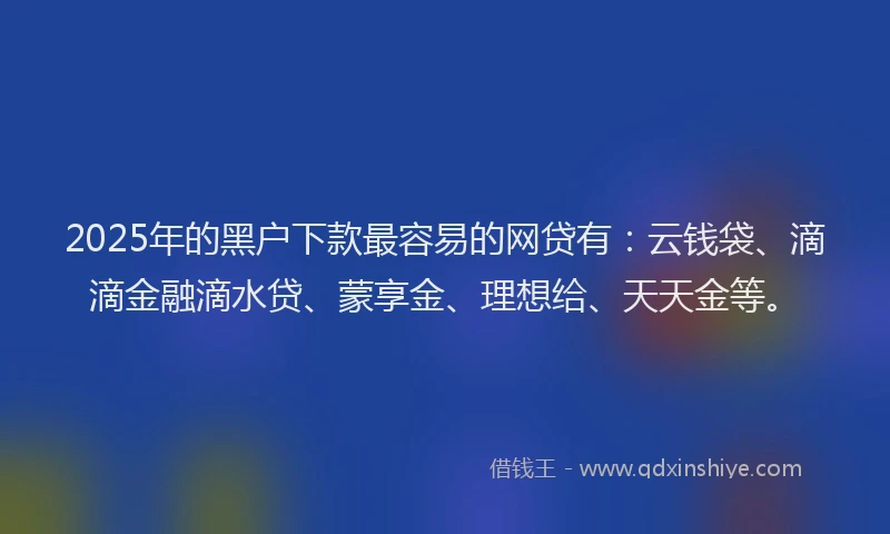 2025年的黑户下款最容易的网贷有:云钱袋、滴滴金融滴水贷、蒙享金、理想给、天天金等。
